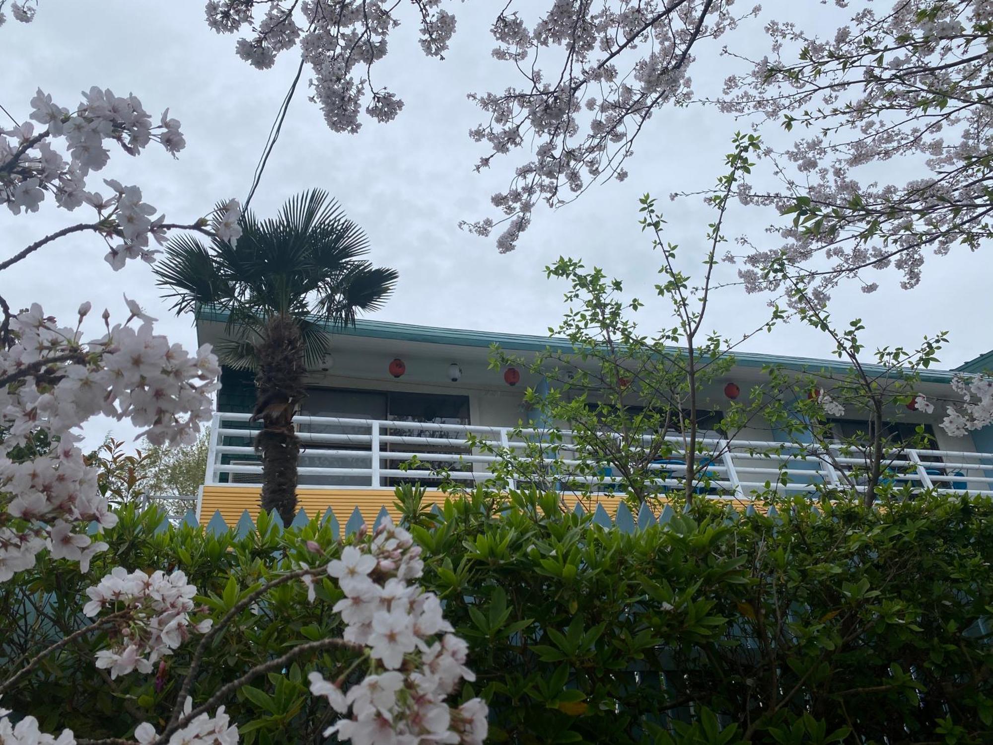 Hanamizuki Onsen Resort Ito  Exterior foto
